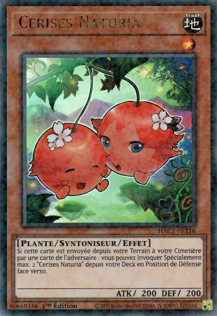 Cerises Naturia : HAC1-FR116 (DUPR)