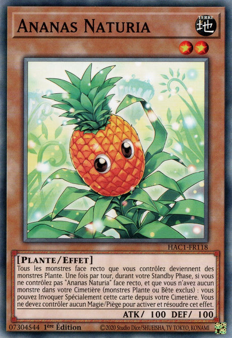 Ananas Naturia : HAC1-FR118 (V.1 - C)