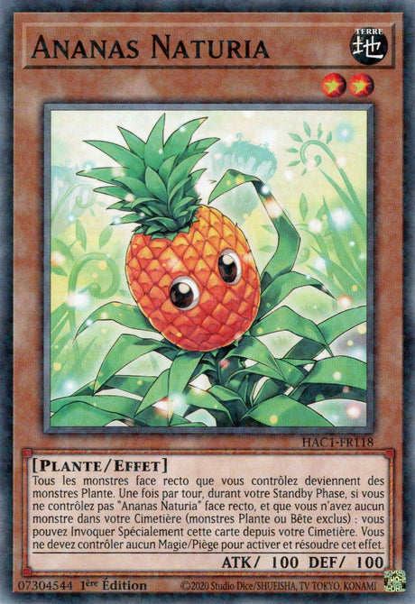 Ananas Naturia : HAC1-FR118 (V.2 - DNPR)