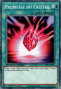 Promesse du Cristal : SGX1-FRF13 (C)