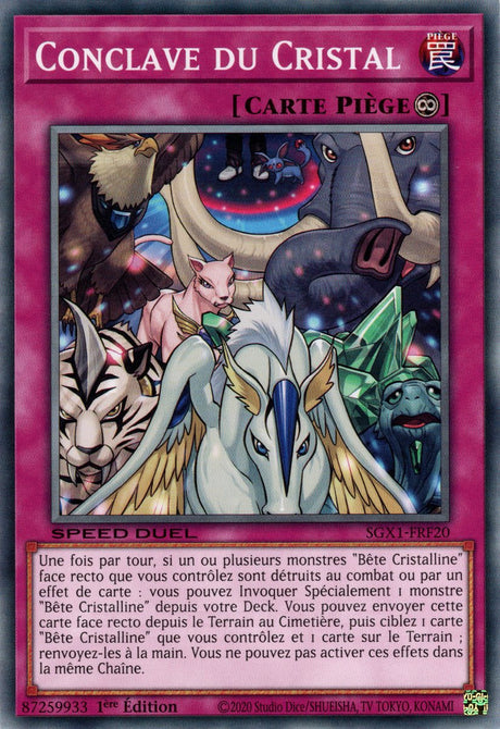 Conclave du Cristal : SGX1-FRF20 (C)