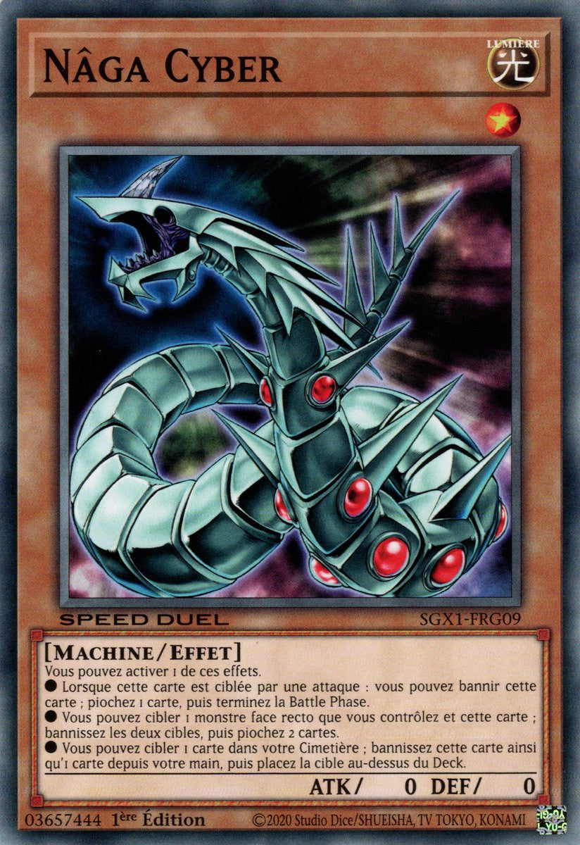 Nâga Cyber : SGX1-FRG09 (C)