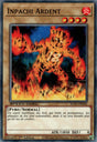 Inpachi Ardent : SGX1-FRH02 (C)