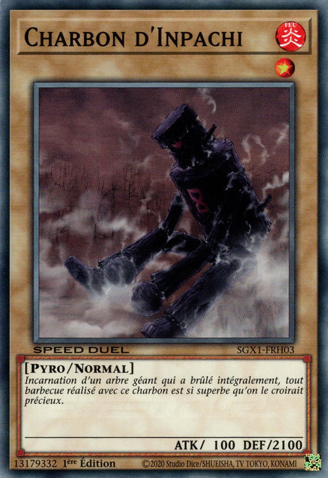 Charbon d'Inpachi : SGX1-FRH03 (C)