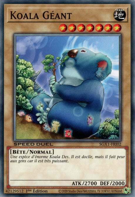 Koala Géant : SGX1-FRI02 (C)