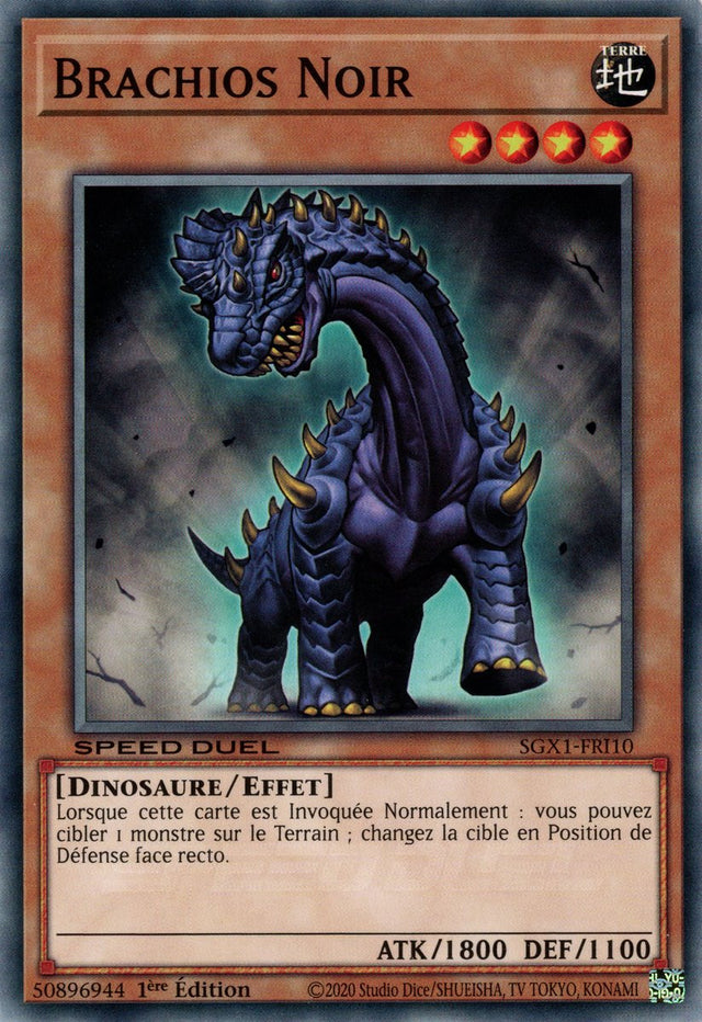 Brachios Noir : SGX1-FRI10 (C)