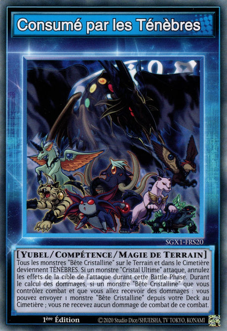 Consumé par les Ténèbres : SGX1-FRS20 (C)