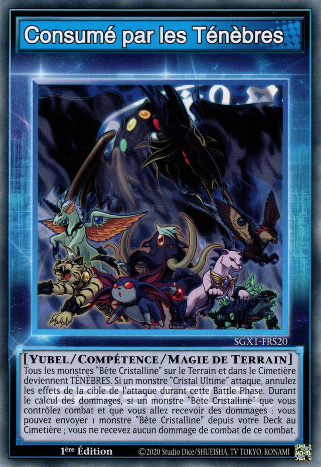 Consumé par les Ténèbres : SGX1-FRS20 (C)