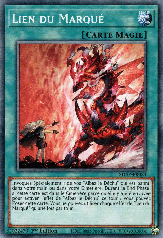 Lien du Marqué - SDAZ-FR023