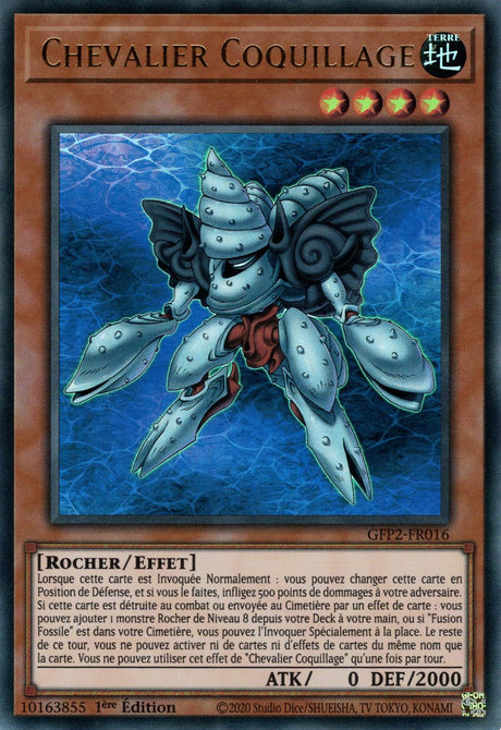 Chevalier Coquillage - GFP2-FR016