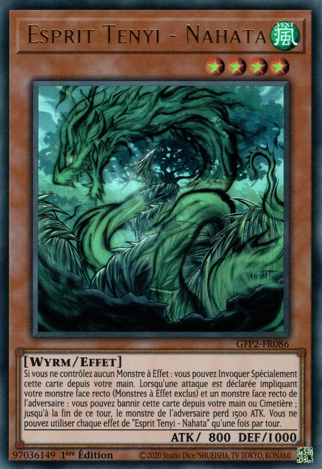 Esprit Tenyi - Nahata - GFP2-FR086