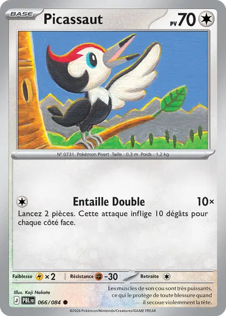 Pokémon - ME05 Nuit Noire - Picassaut (PBL 066/084) - DracauGames