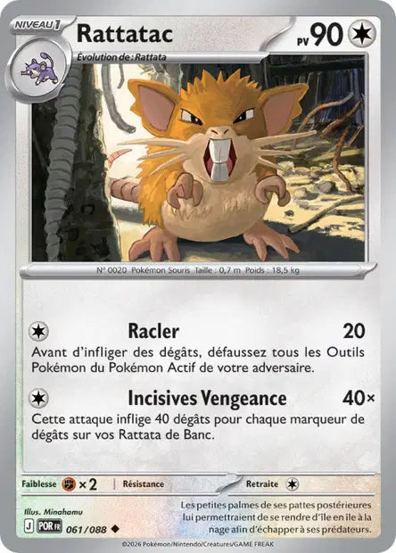Rattatac (POR 061/088) - ME03 Équilibre Parfait - Carte Pokémon